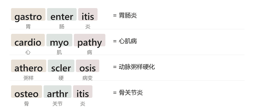 四个英文病名被拆成词根与后缀：gastroenteritis 拆为胃、肠、炎，cardiomyopathy 拆为心、肌、病，atherosclerosis 拆为粥样、硬、病变，osteoarthritis 拆为骨、关节、炎